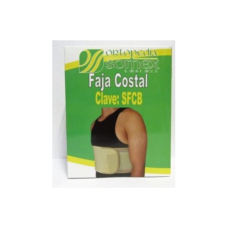 Faja Costal